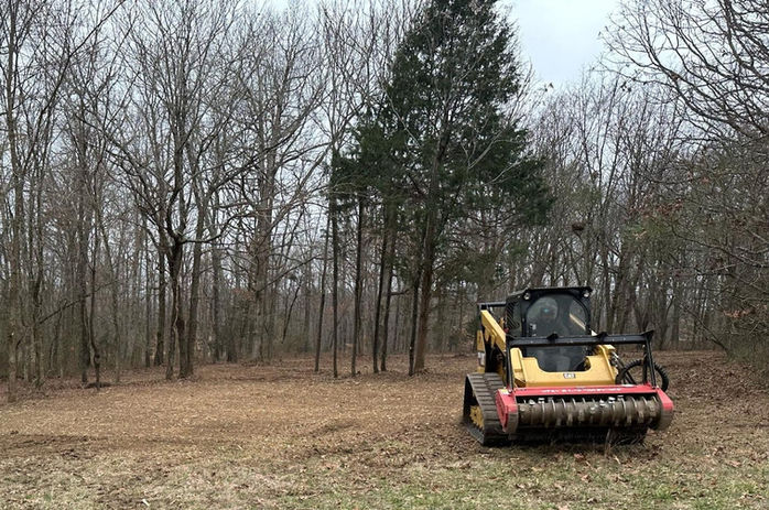 Land clearing project